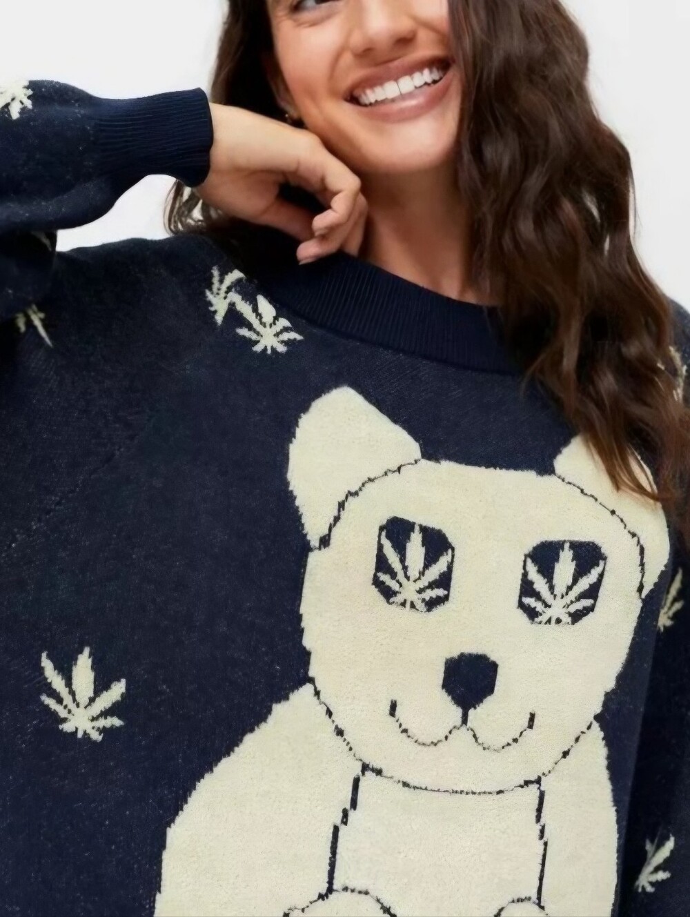 Urban Outfitters Navy Sweater with Cream Bear and Leaf Motif
